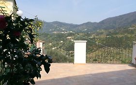 Levantotwo Bedrooms Flat With Terrace